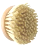 Dry skin brushing